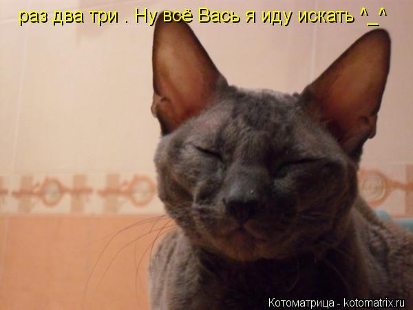 Котоматрица: раз два три . Ну всё Вась я иду искать ^_^