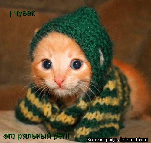 Ё чувак это ряльный реп!... Котоматрица: Ё чувак это ряльный реп!