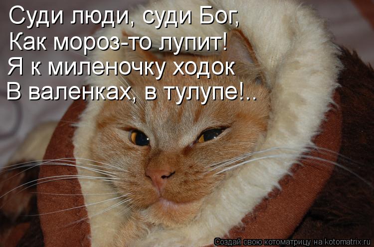 Суди люди, суди Бог, Как мороз-то лупит! Я к миленочку ходок В валенках, в тулупе!..... Котоматрица: Суди люди, суди Бог, Как мороз-то лупит! Я к миленочку ходок В валенках, в тулупе!..
