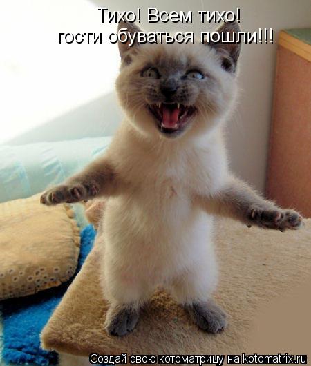Котоматрица: Тихо! Всем тихо! гости обуваться пошли!!!