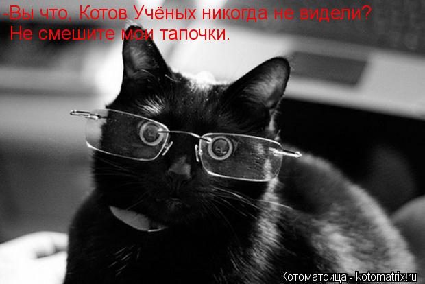 Котоматрица: -Вы что, Котов Учёных никогда не видели? Не смешите мои тапочки.