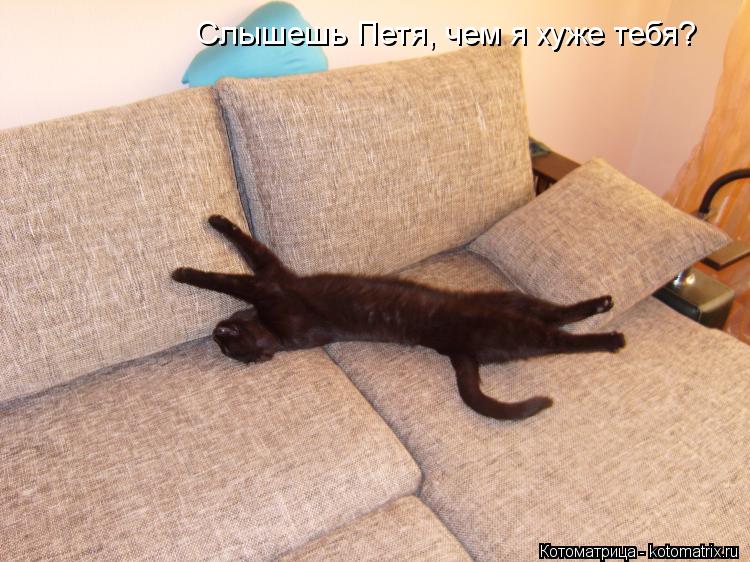 Слышешь Петя, чем я хуже тебя?... Котоматрица: Слышешь Петя, чем я хуже тебя?