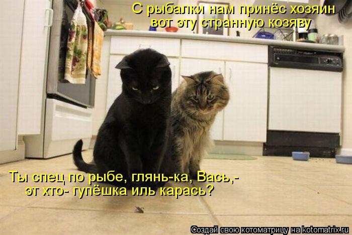 Котоматрица: С рыбалки нам принёс хозяин вот эту странную козяву эт хто- гупёшка иль карась? Ты спец по рыбе, глянь-ка, Вась,-
