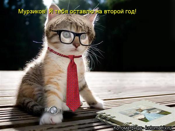 Мурзиков! Я тебя оставлю на второй год!... Котоматрица: Мурзиков! Я тебя оставлю на второй год!