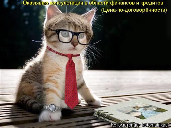 Котоматрица: -Оказываю консультации в области финансов и кредитов (Цена-по-договорённости)