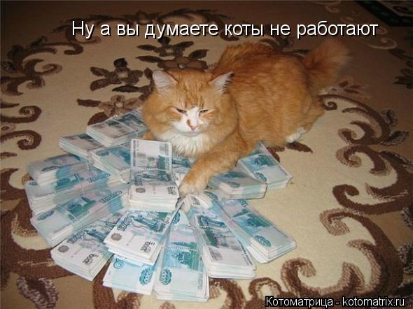Котоматрица: Ну а вы думаете коты не работают