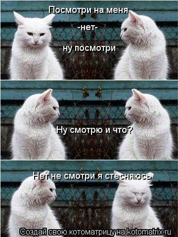 Посмотри на меня -нет- ну посмотри Ну смотрю и что? Нет не смотри я стесняюсь... Котоматрица: Посмотри на меня -нет- ну посмотри Ну смотрю и что? Нет не смотри я стесняюсь
