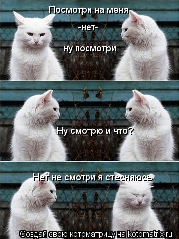 Котоматрица: Посмотри на меня -нет- ну посмотри Ну смотрю и что? Нет не смотри я стесняюсь