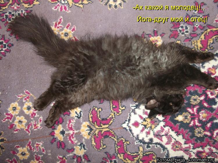 Котоматрица: -Ах какой я молодец!.. Йога-друг мой и отец!