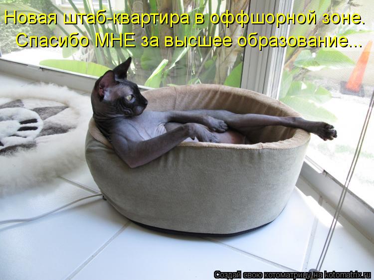 Котоматрица: Новая штаб-квартира в оффшорной зоне. Спасибо МНЕ за высшее образование...