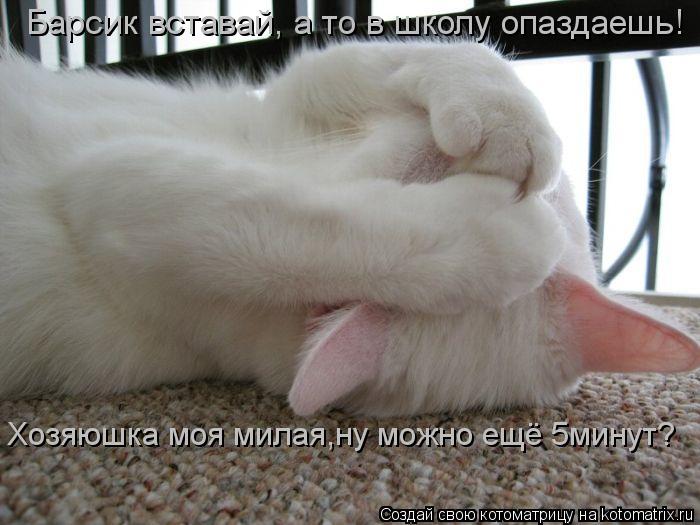 Котоматрица: Барсик вставай, а то в школу опаздаешь! Хозяюшка моя милая,ну можно ещё 5минут?