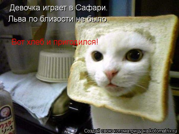 Котоматрица: Девочка играет в Сафари. Льва по близости не было. Вот хлеб и пригодился!