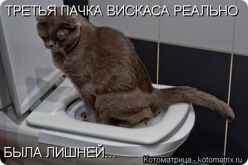 Котоматрица: ТРЕТЬЯ ПАЧКА ВИСКАСА РЕАЛЬНО БЫЛА ЛИШНЕЙ...