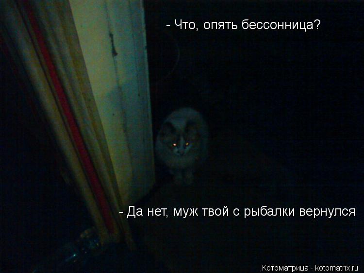 Котоматрица: - Что, опять бессонница? - Да нет, муж твой с рыбалки вернулся
