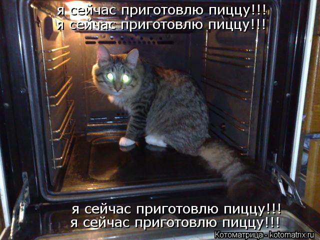 Котоматрица: я сейчас приготовлю пиццу!!! я сейчас приготовлю пиццу!!! я сейчас приготовлю пиццу!!! я сейчас приготовлю пиццу!!!