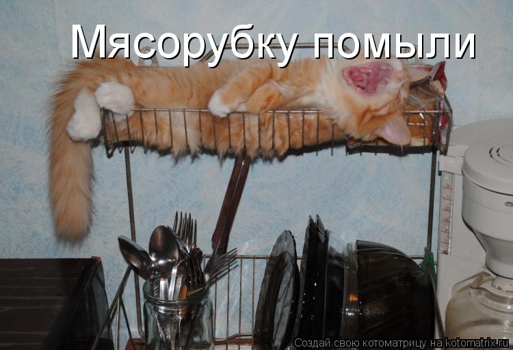 Мясорубку помыли... Котоматрица: Мясорубку помыли