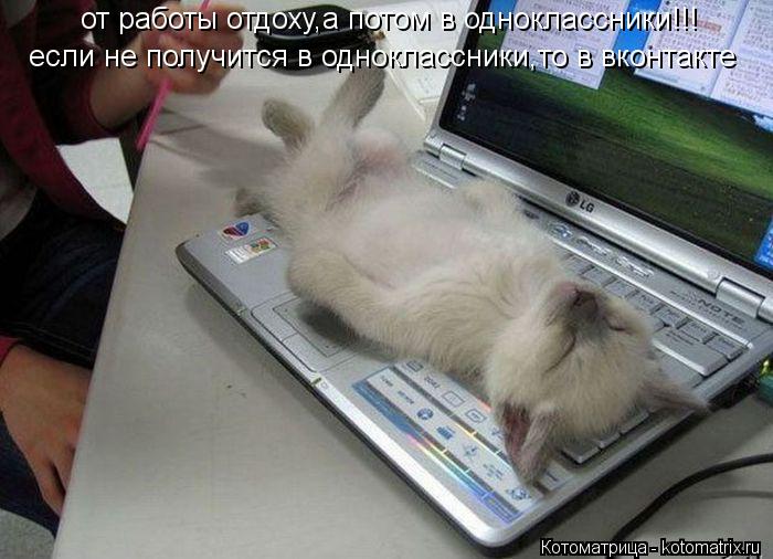 Котоматрица: от работы отдоху,а потом в одноклассники!!! если не получится в одноклассники,то в вконтакте