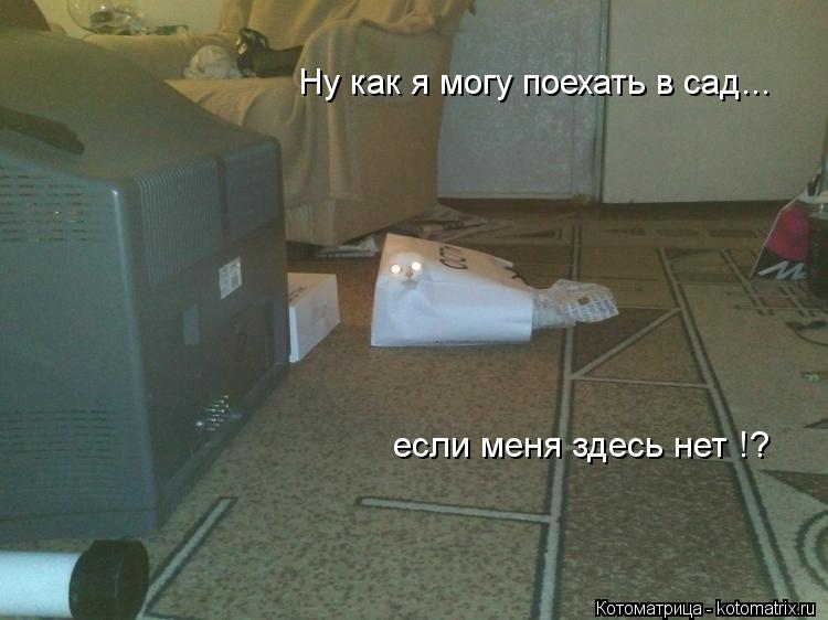 Котоматрица: Ну как я могу поехать в сад... если меня здесь нет !?