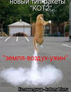 Котоматрица: новый тип ракеты  "земля-воздух-ужин" "КОТ2"