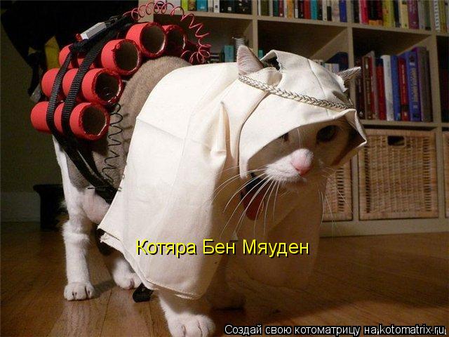 Котяра Бен Мяуден... Котоматрица: Котяра Бен Мяуден