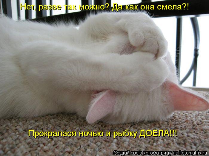 Котоматрица: Нет, разве так можно? Да как она смела?! Прокралася ночью и рыбку ДОЕЛА!!!