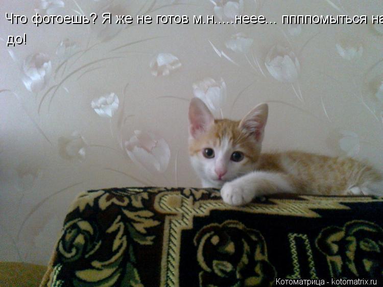 Котоматрица: Что фотоешь? Я же не готов м.н.....неее... ппппомыться надо! до!