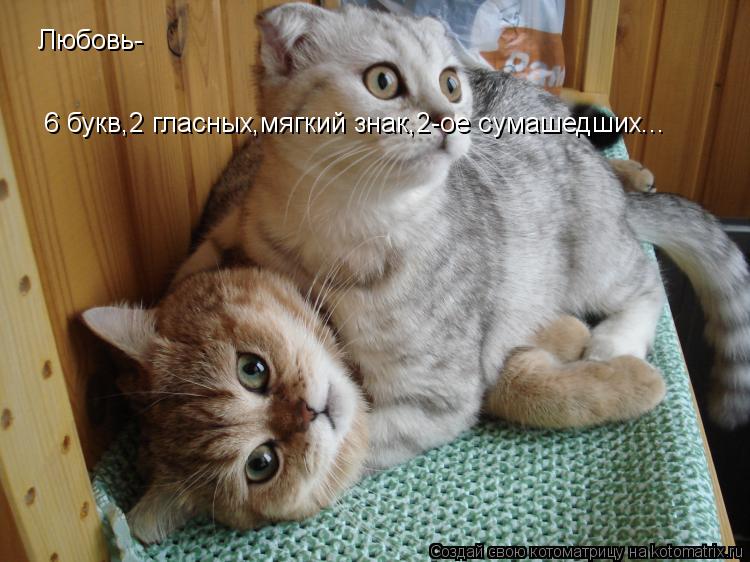 Любовь- 6 букв,2 гласных,мягкий знак,2-ое сумашедших...... Котоматрица: Любовь- 6 букв,2 гласных,мягкий знак,2-ое сумашедших...