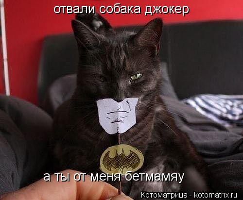 Котоматрица: отвали собака джокер а ты от меня бетмамяу