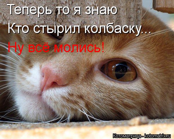 Котоматрица: Теперь то я знаю Кто стырил колбаску... Ну всё молись!