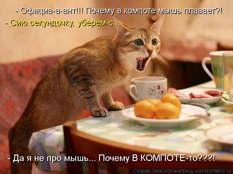 - Официа-а-ант!!! Почему в компоте мышь плавает?! - Сию секундочку, уберем-с... - Да я не про мышь...... Котоматрица: - Официа-а-ант!!! Почему в компоте мышь плавает?! - Сию секундочку, уберем-с... - Да я не про мышь... Почему В КОМПОТЕ-то???!