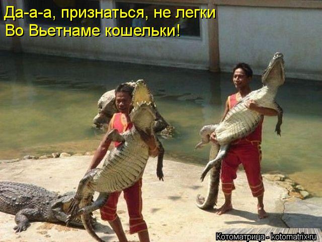 Котоматрица: Да-а-а, признаться, не легки  Во Вьетнаме кошельки!