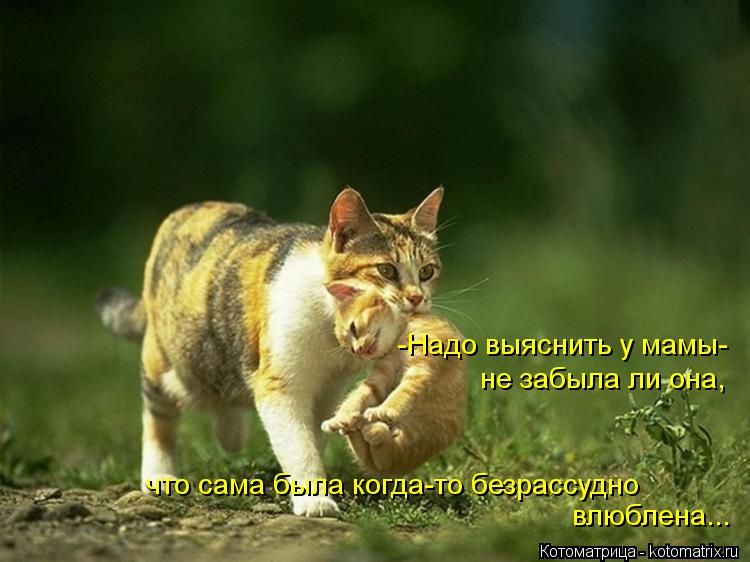 -Надо выяснить у мамы- не забыла ли она, что сама была когда-то безрассудно влюблена...... Котоматрица: -Надо выяснить у мамы- не забыла ли она, что сама была когда-то безрассудно влюблена...