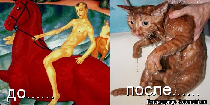 Котоматрица: до...... после......