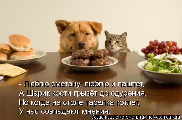 Котоматрица: - Люблю сметану, люблю и паштет, А Шарик кости грызёт до одурения, Но когда на столе тарелка котлет, У нас совпадают мнения.