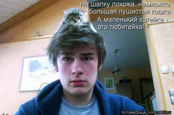Котоматрица: На шапку похожа, немножко,  большая пушистая кошка. А маленький котейка -  это тюбитейка!