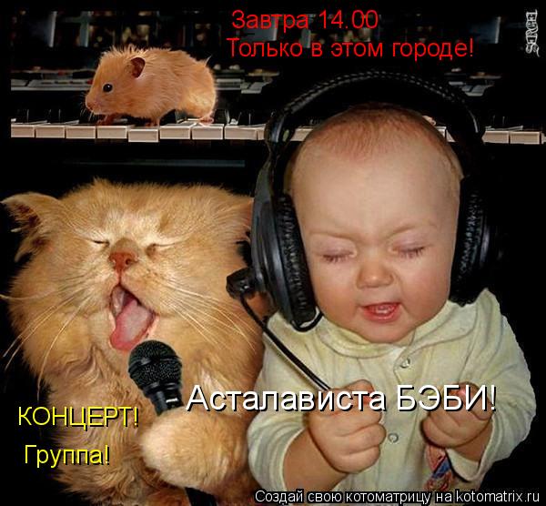 Котоматрица: Завтра 14.00 Только в этом городе! КОНЦЕРТ! Группа! Асталависта БЭБИ!