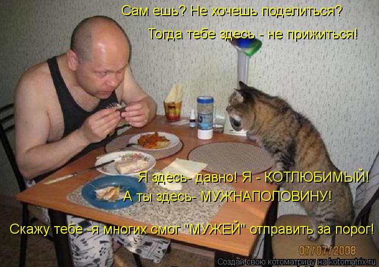 Котоматрица: Я здесь- давно! Я - КОТЛЮБИМЫЙ! А ты здесь- МУЖНАПОЛОВИНУ! Скажу тебе -я многих смог "МУЖЕЙ" отправить за порог! Сам ешь? Не хочешь поделиться? Т