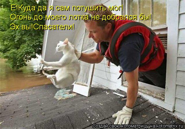 Котоматрица: Е!Куда да я сам потушить мог! Огонь до моего лотка не добрался бы! Эх вы!Спасатели!