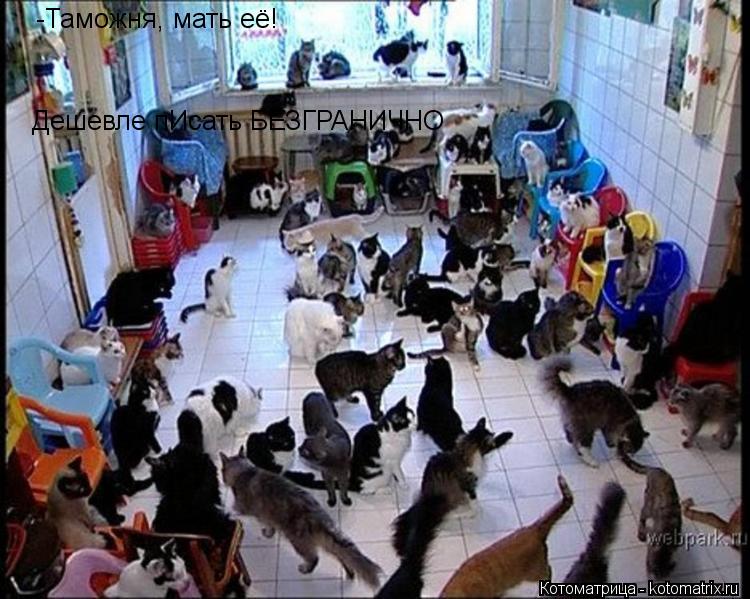 -Таможня, мать её! Дешевле пИсать БЕЗГРАНИЧНО... Котоматрица: -Таможня, мать её! Дешевле пИсать БЕЗГРАНИЧНО