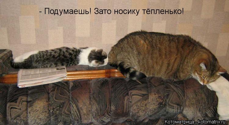 Котоматрица: - Подумаешь! Зато носику тёпленько!