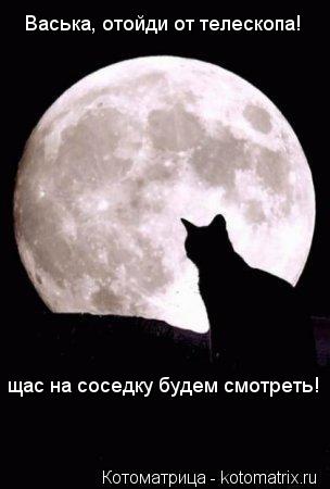 Котоматрица: Васька, отойди от телескопа! щас на соседку будем смотреть!