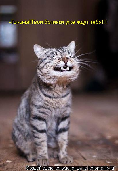 Котоматрица: -Гы-ы-ы!Твои ботинки уже ждут тебя!!!