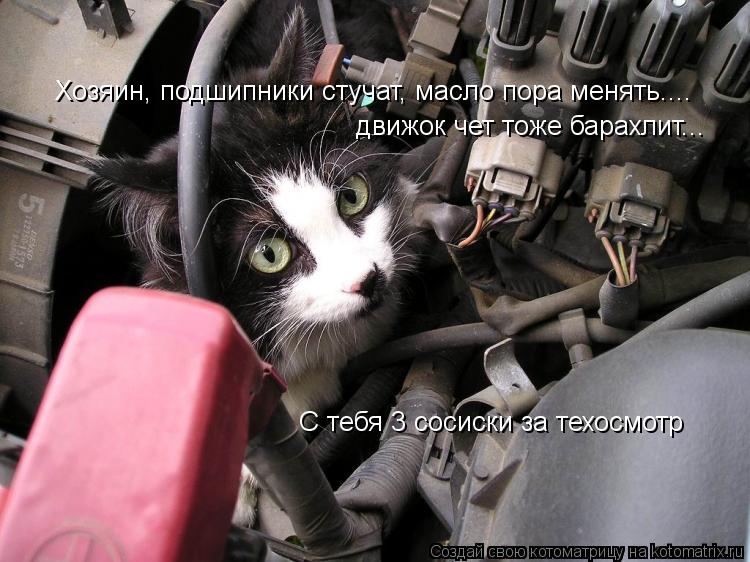 Котоматрица: Хозяин, подшипники стучат, масло пора менять.... движок чет тоже барахлит... С тебя 3 сосиски за техосмотр