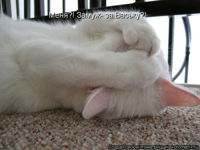 Меня?! Замуж- за Ваську?!... Котоматрица: Меня?! Замуж- за Ваську?!