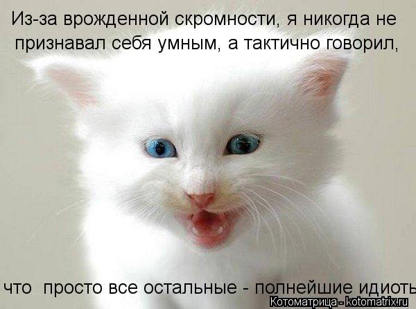 Котоматрица: Из-за врожденной скромности, я никогда не признавал себя умным, а тактично говорил, что  просто все остальные - полнейшие идиоты.
