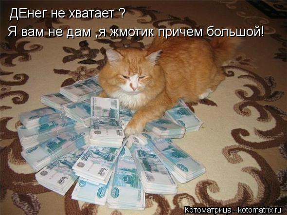 Котоматрица: ДЕнег не хватает ? Я вам не дам ,я жмотик причем большой!
