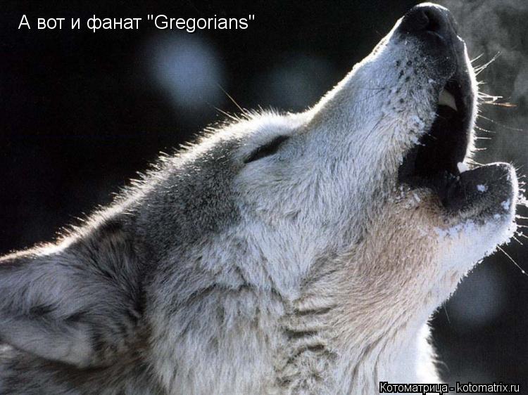 А вот и фанат "Gregorians"... Котоматрица: А вот и фанат "Gregorians"