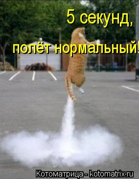 Котоматрица: 5 секунд, полёт нормальный!