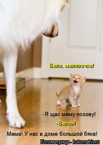 Котоматрица: Мама! У нас в доме большой бяка! -Я щас маму позову! -Валяй! Вали, малявочка!