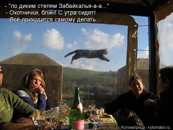 Котоматрица: - "по диким степям Забайкалья-а-а..." - Охотнички, блин! С утра сидят! Всё приходится самому делать...